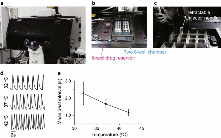 Fig. 2