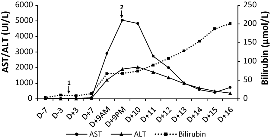 Fig. 1