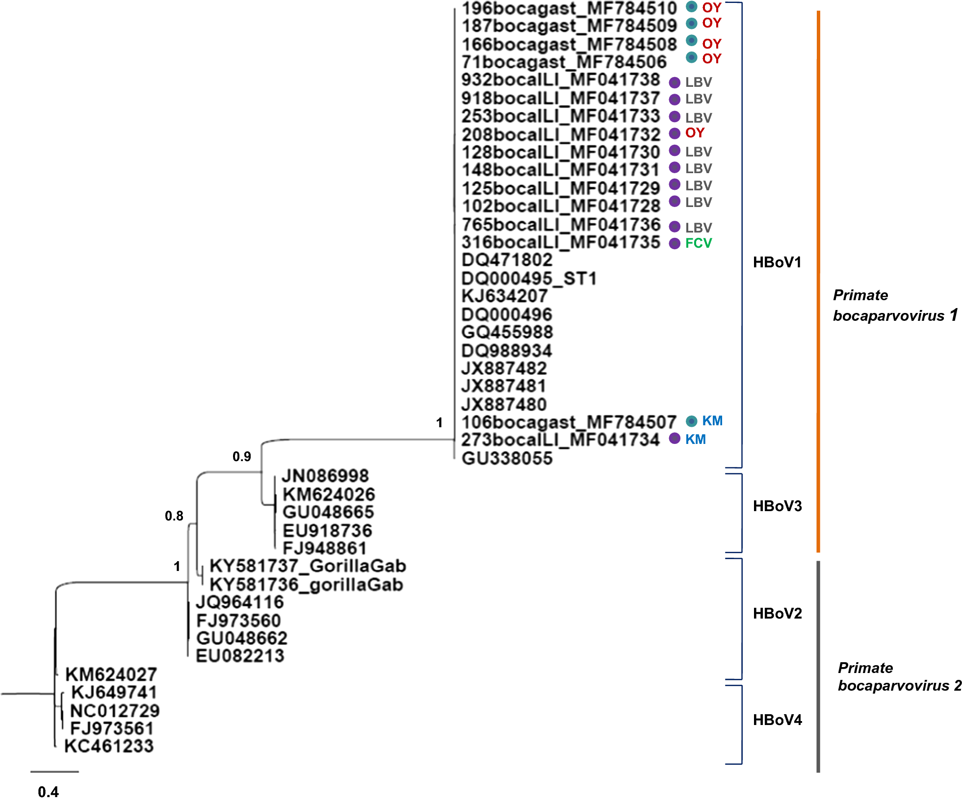 Fig. 2