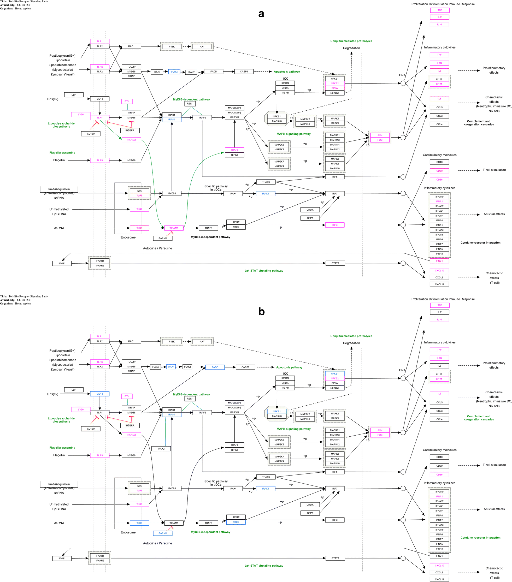 Fig. 3