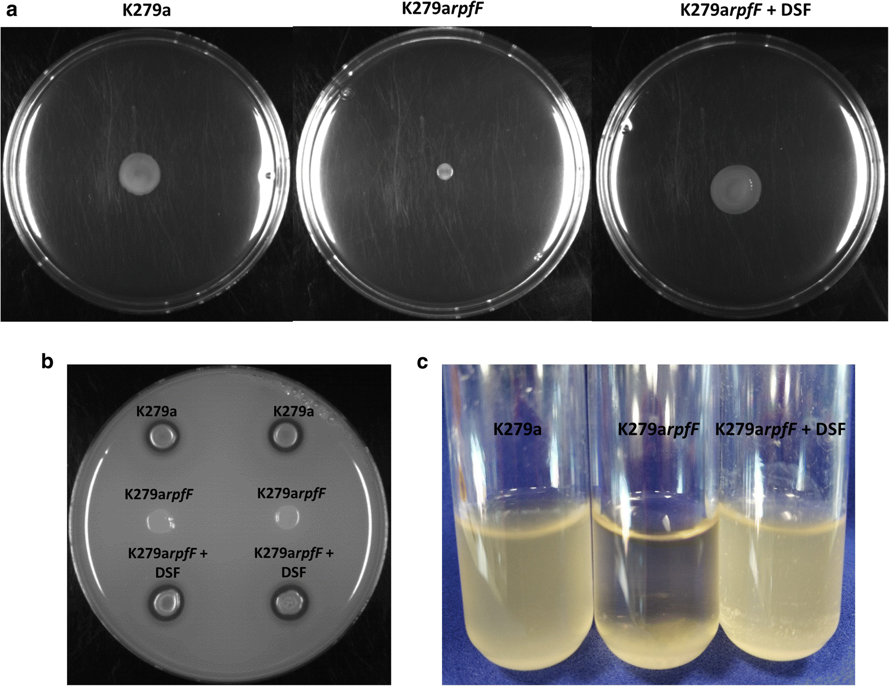 Fig. 3