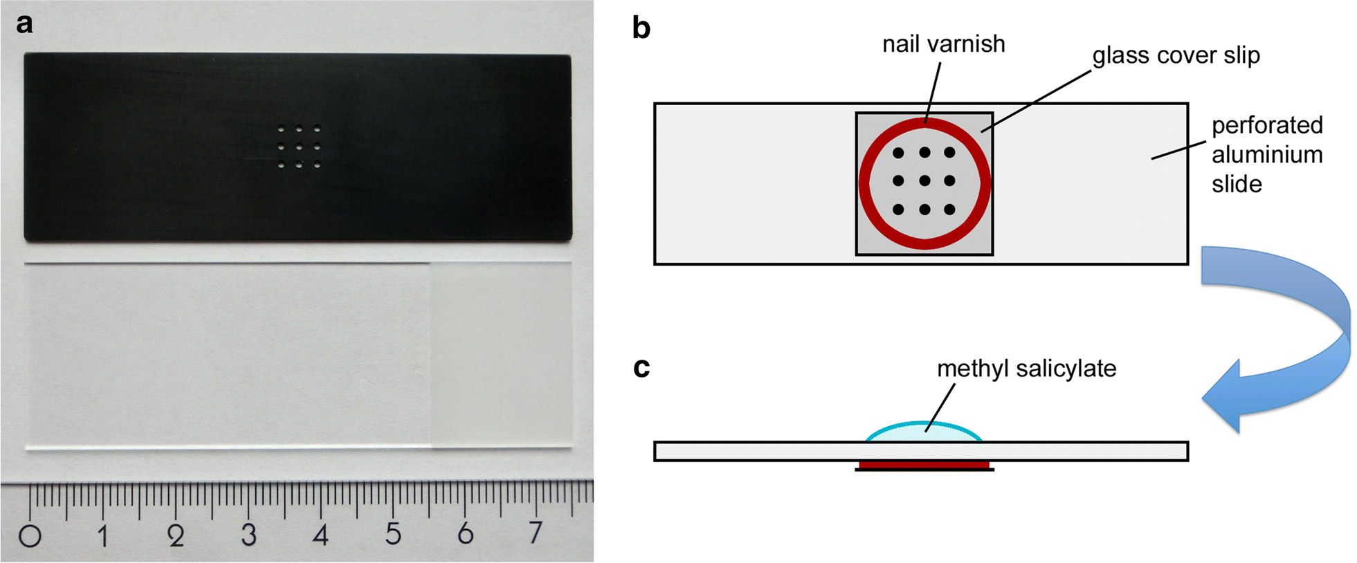 Fig. 1