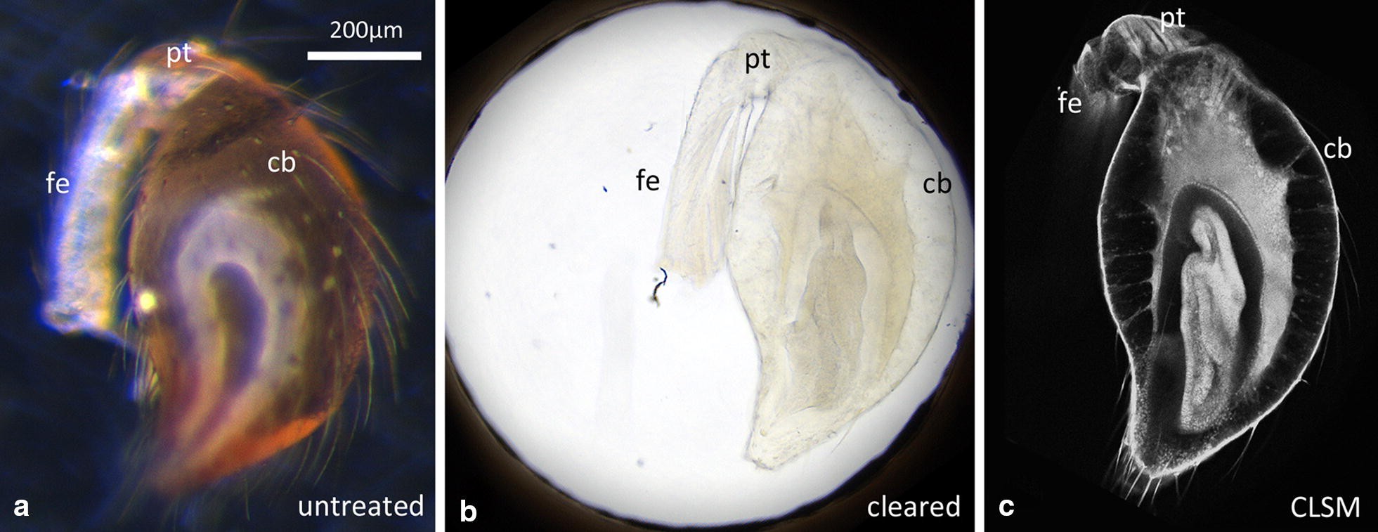 Fig. 2