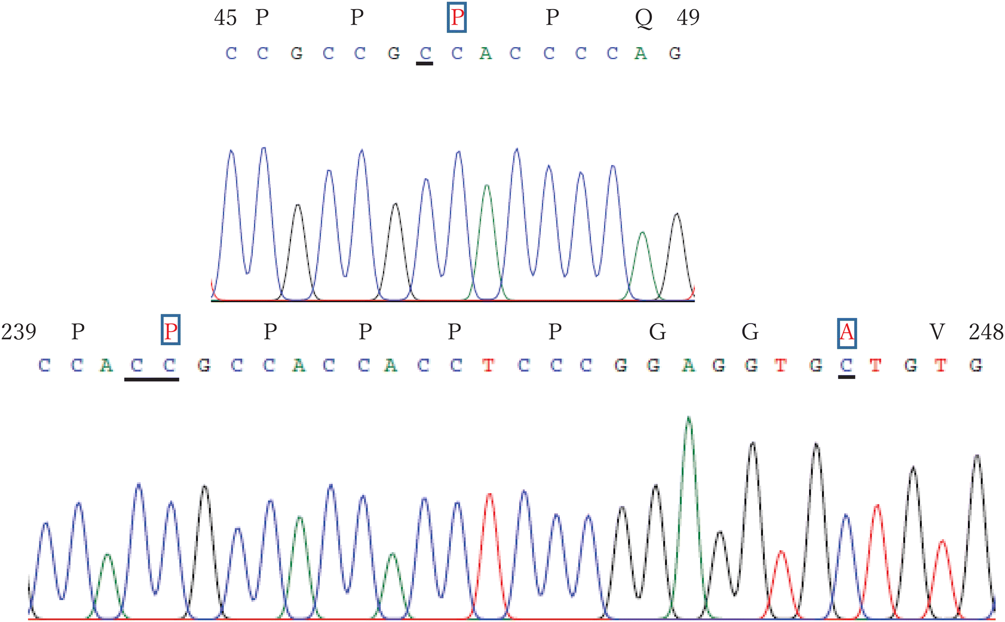 Fig. 1