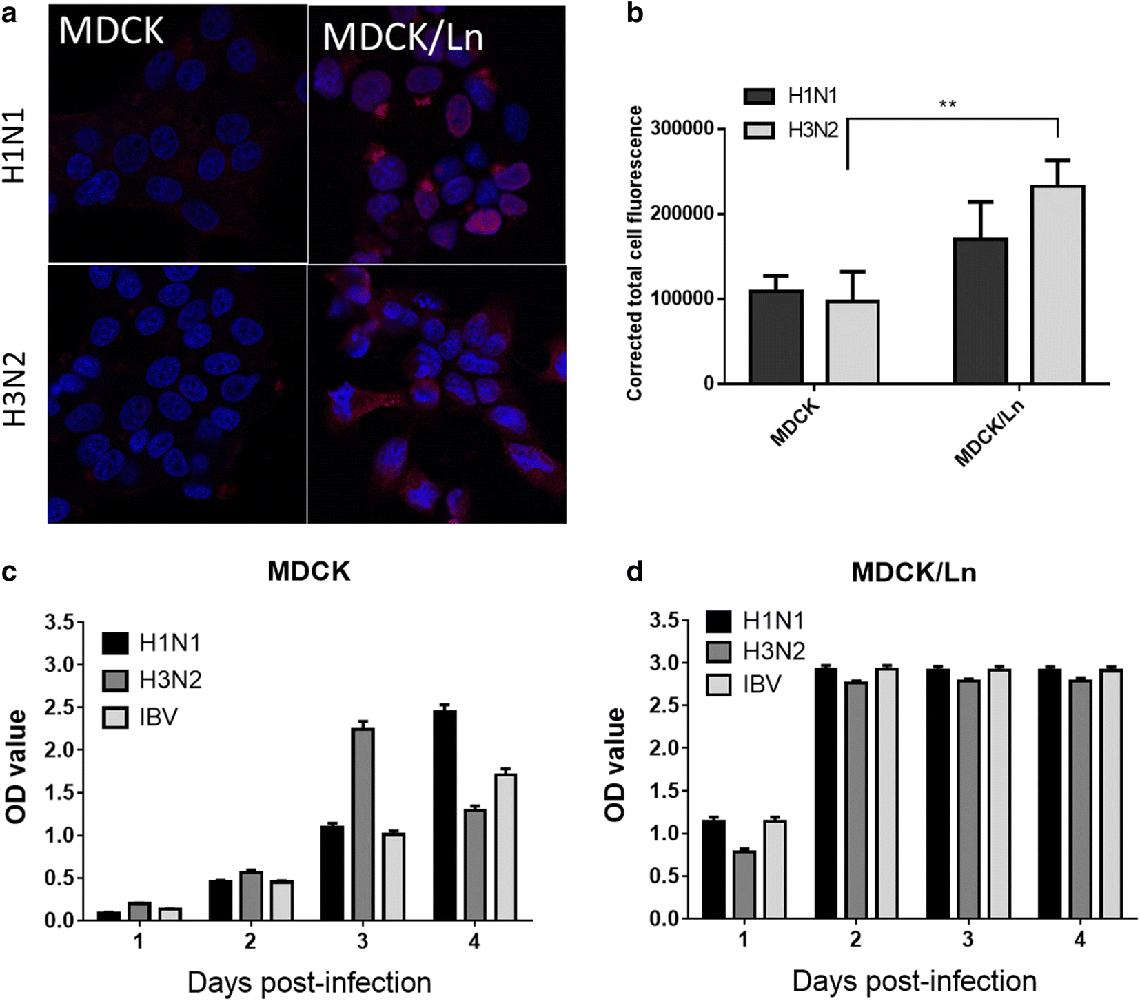 Fig. 2