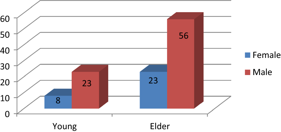 Fig. 1