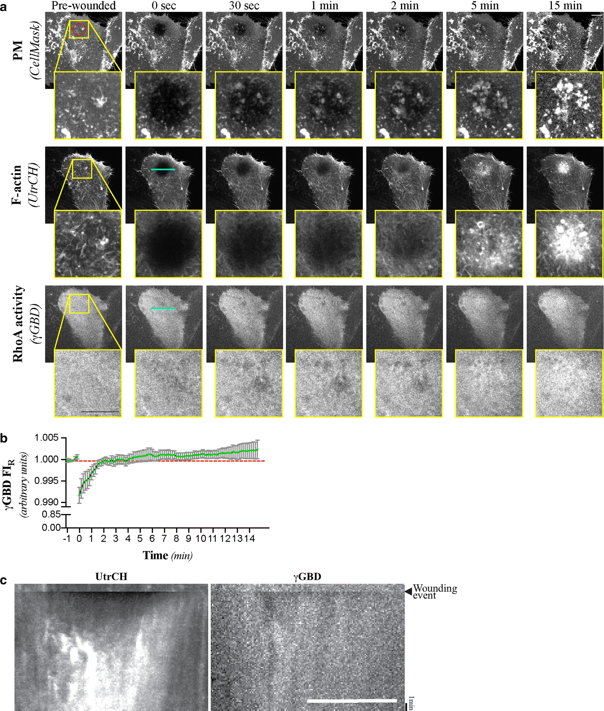 Fig. 3