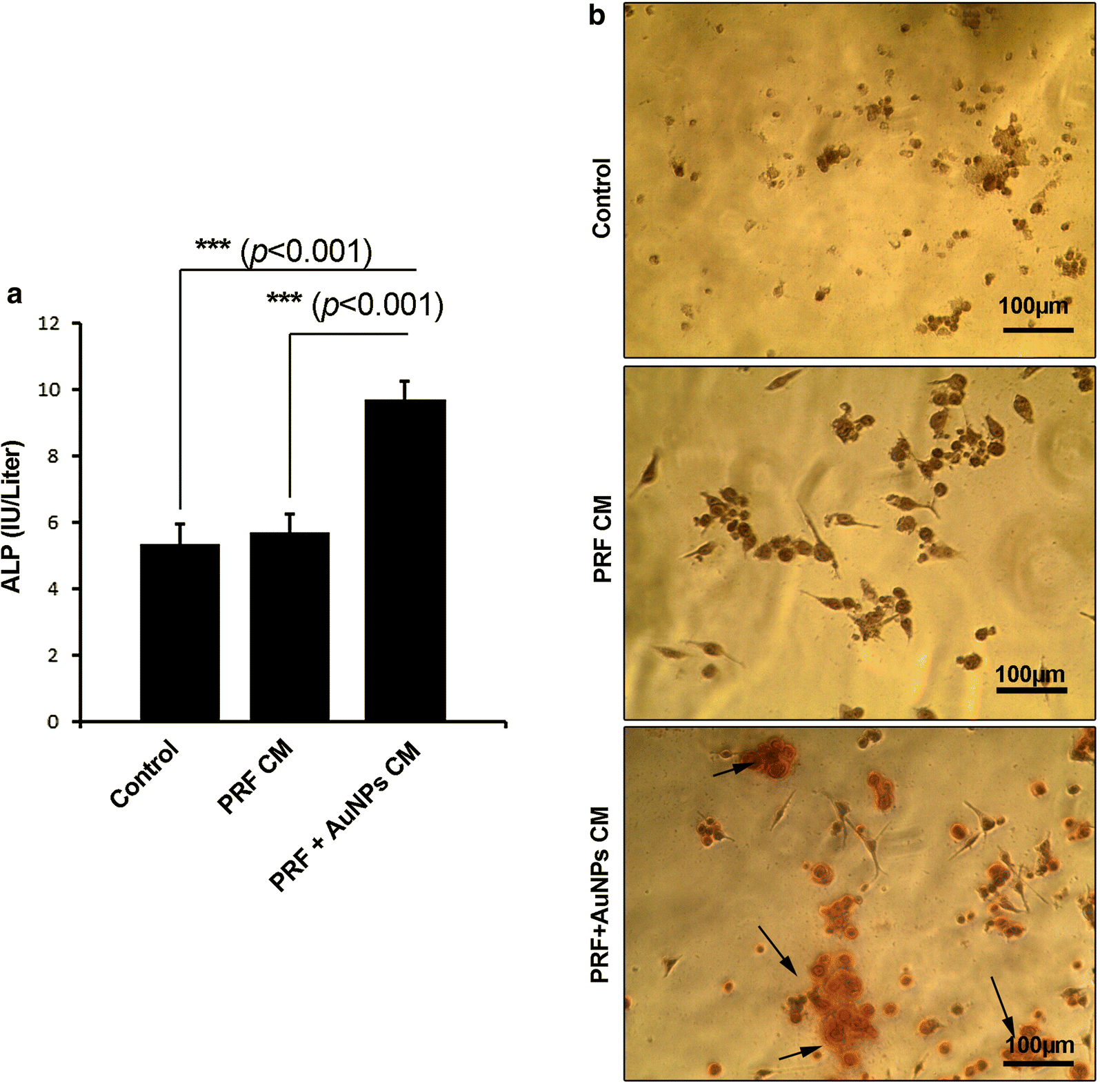 Fig. 3