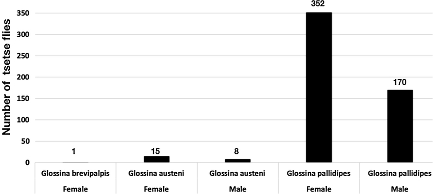 Fig. 1