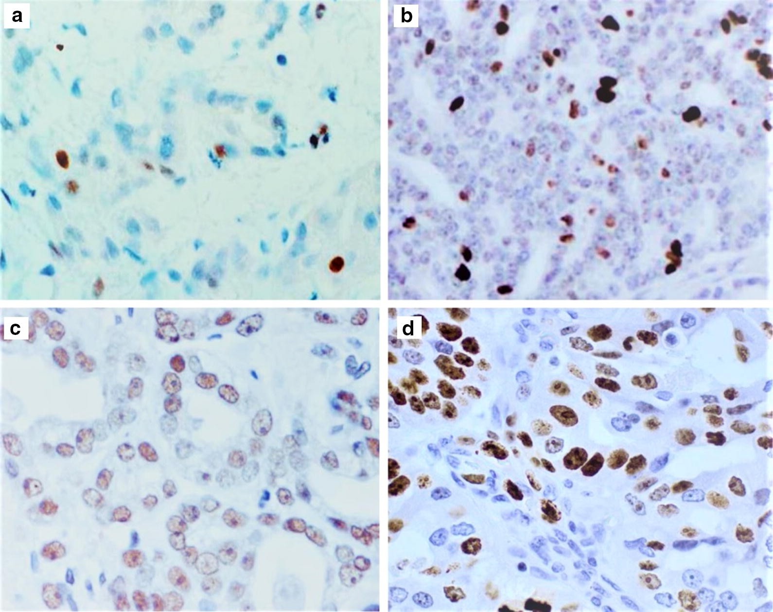 Fig. 2