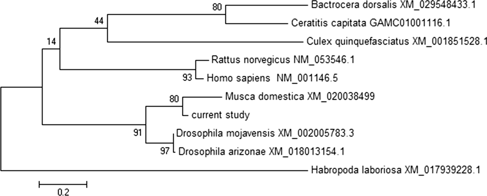 Fig. 3