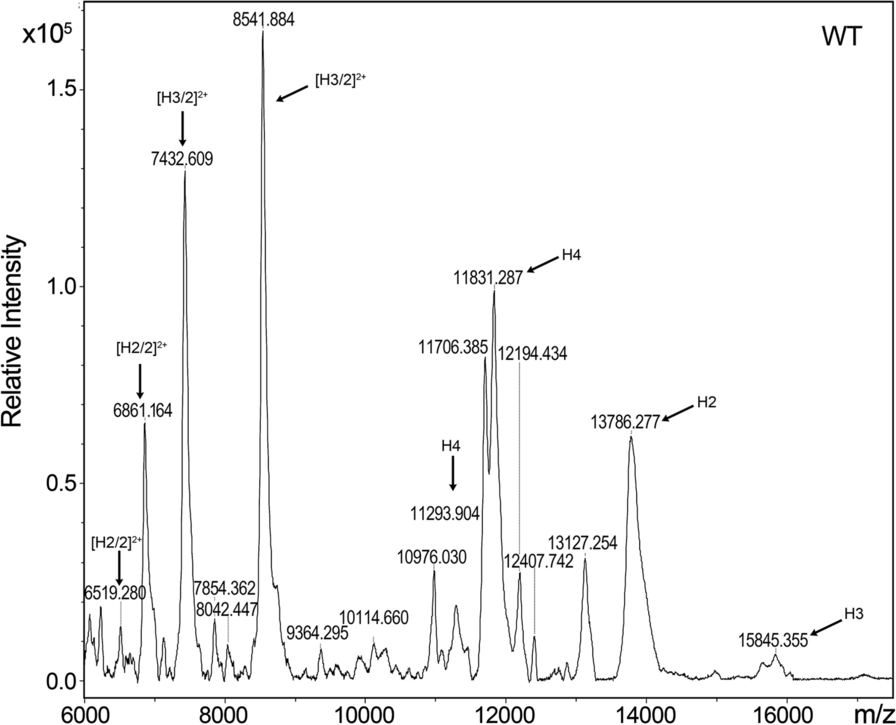 Fig. 1