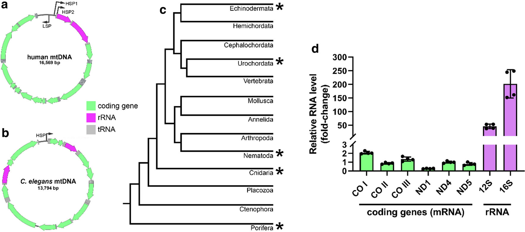 Fig. 1