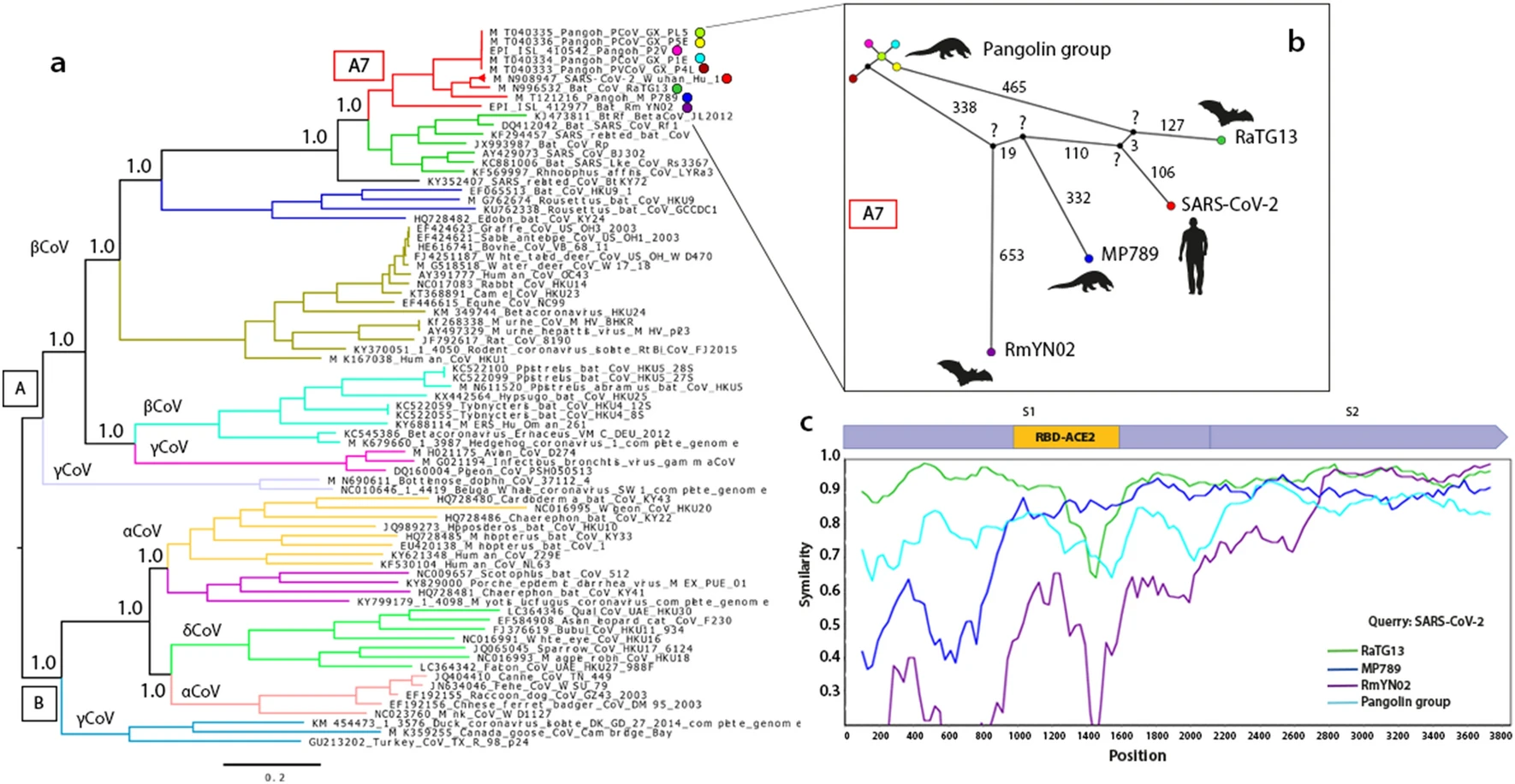 13104_2020_5242_Fig1_HTML.png
