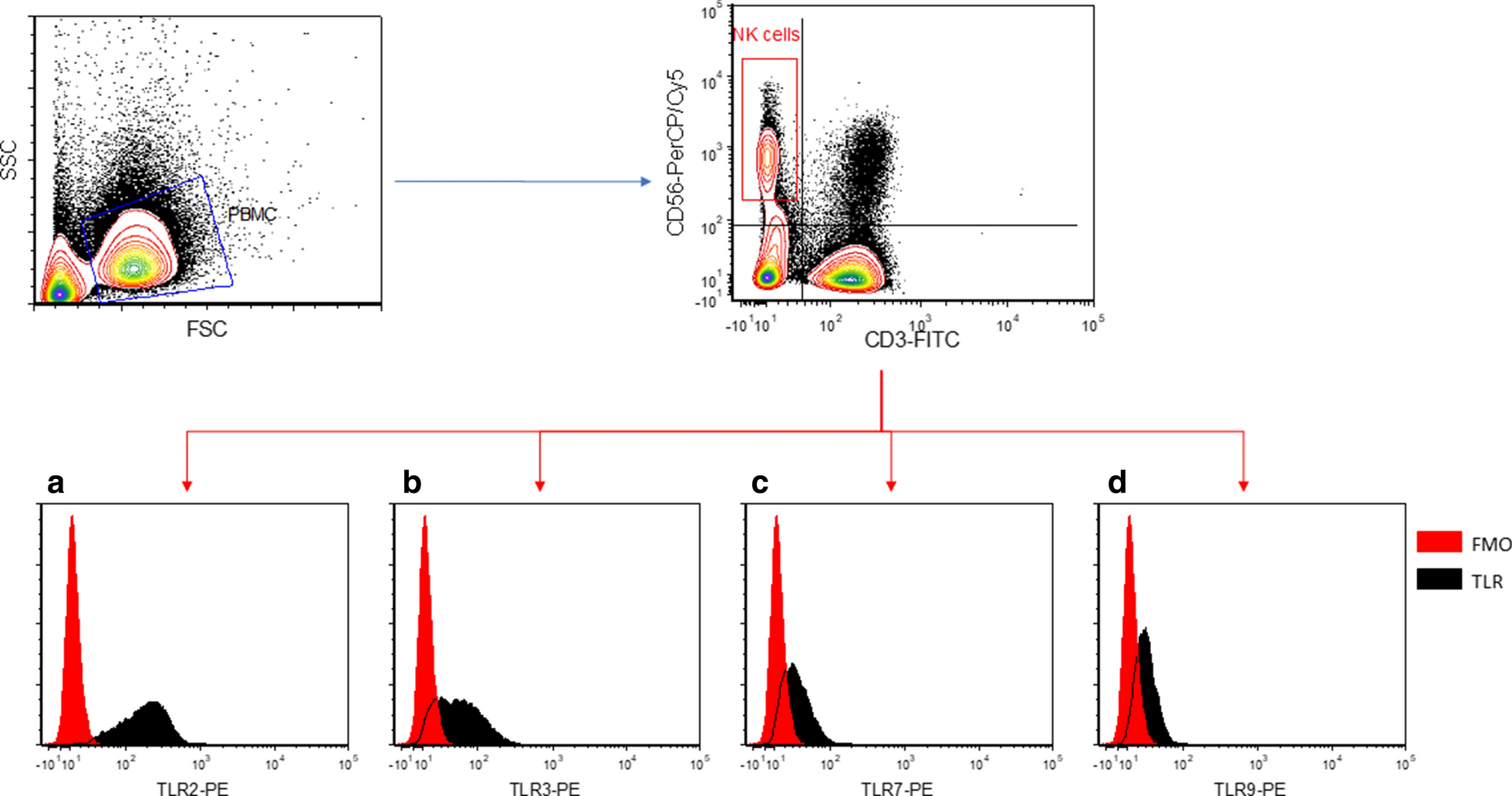 Fig. 1