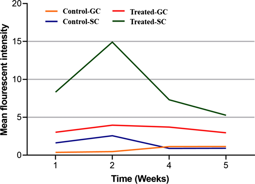 Fig. 2