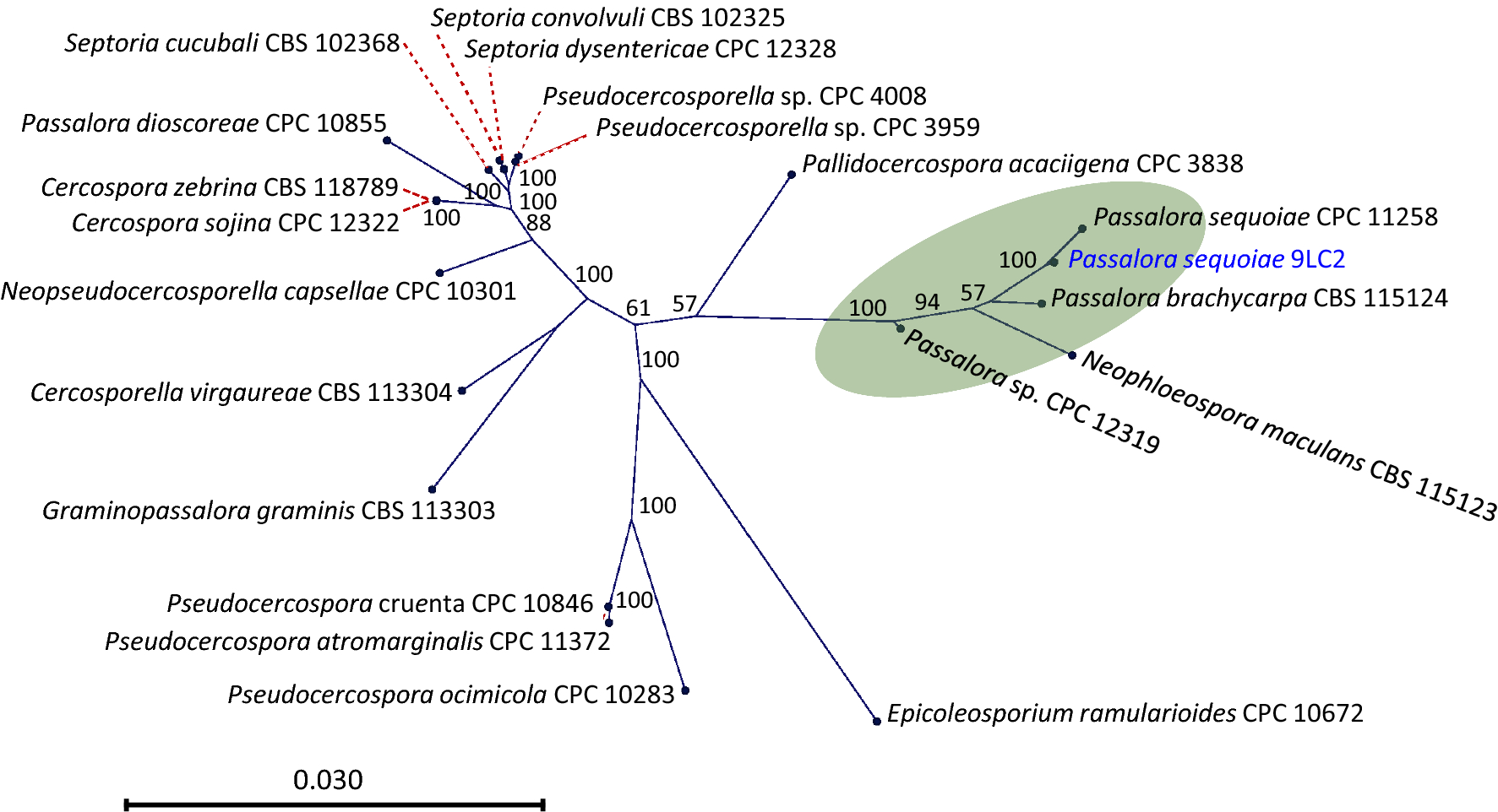 Fig. 4