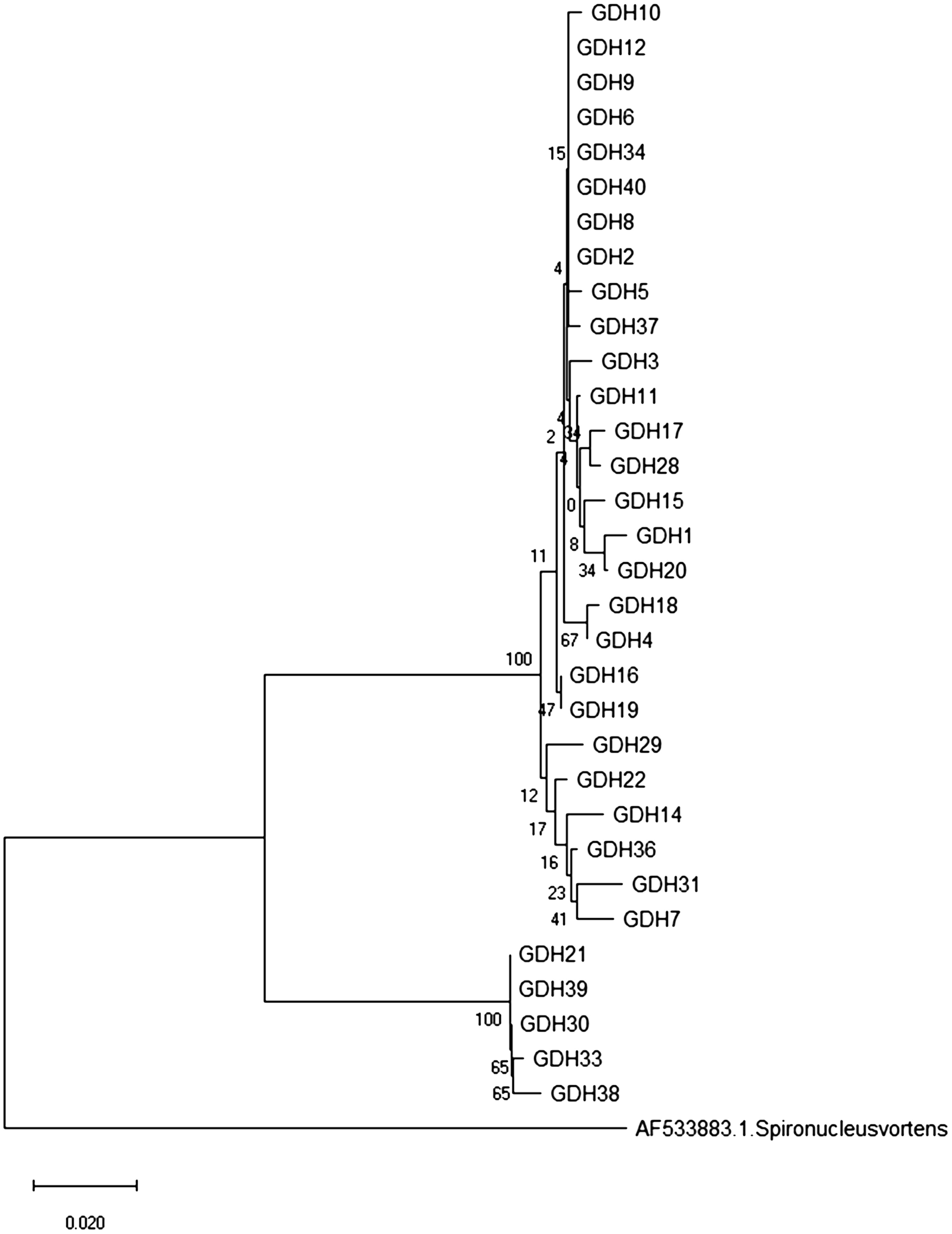 Fig. 1