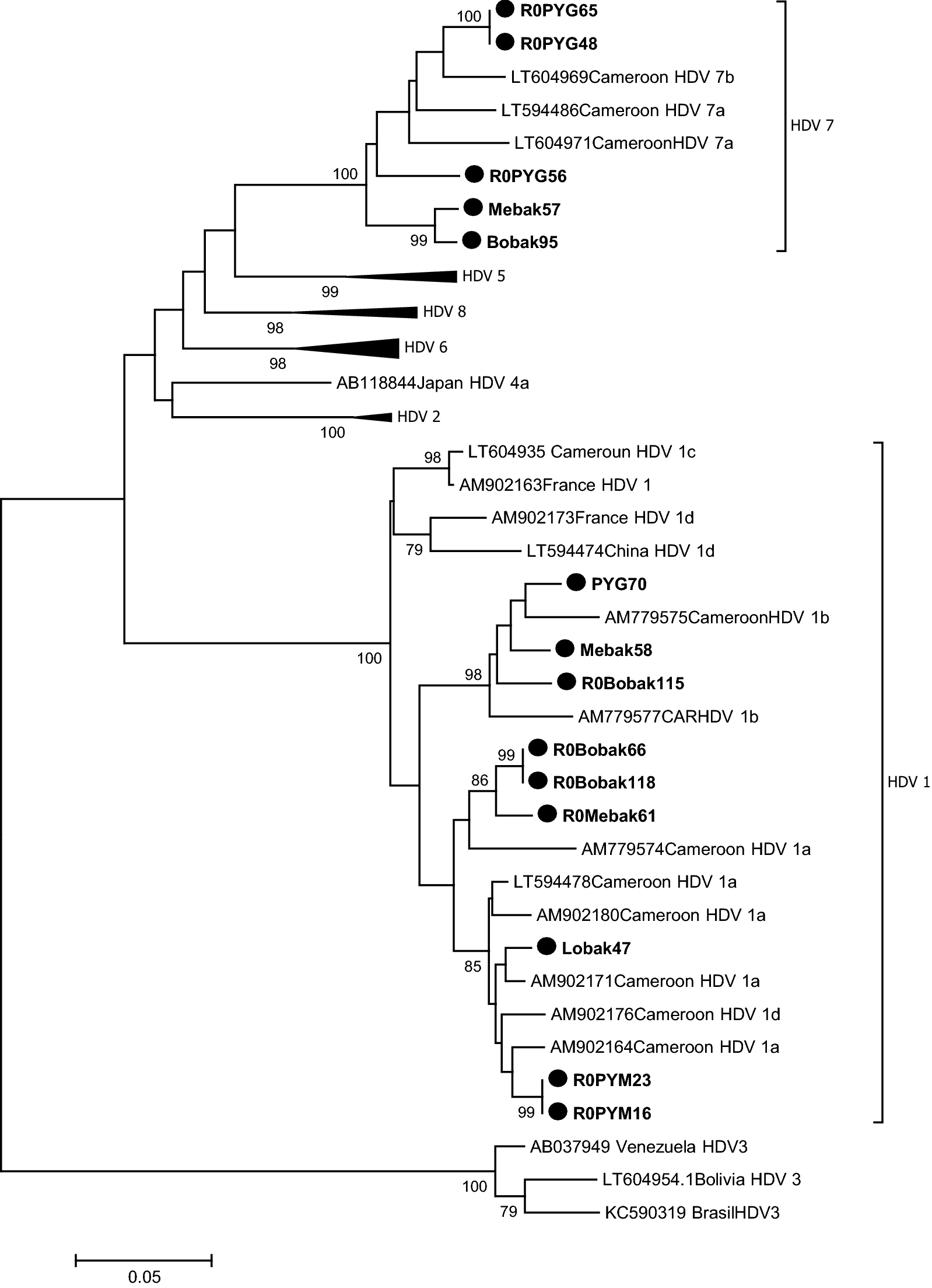 Fig.1