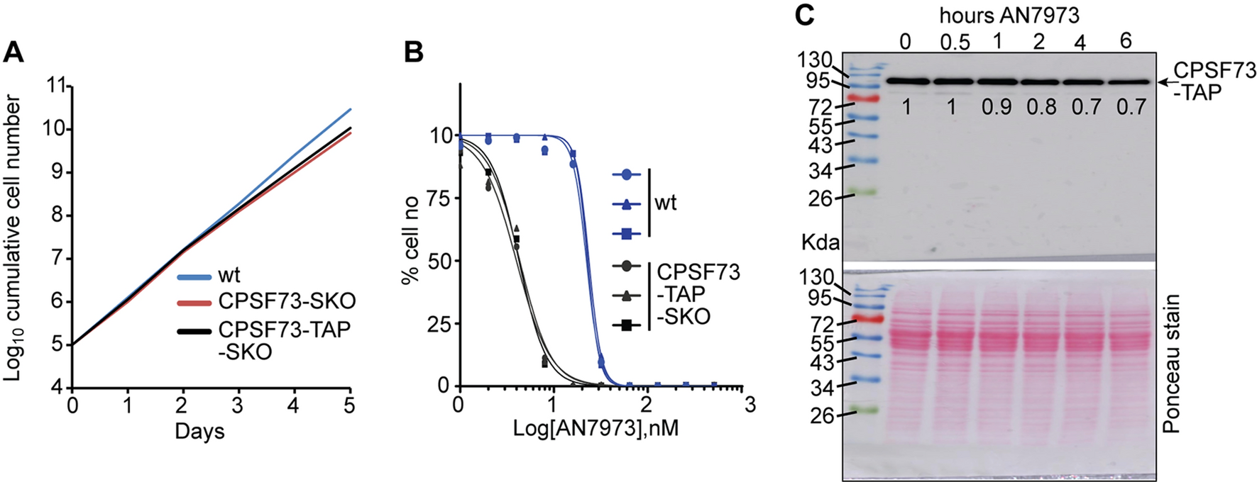 Fig. 3