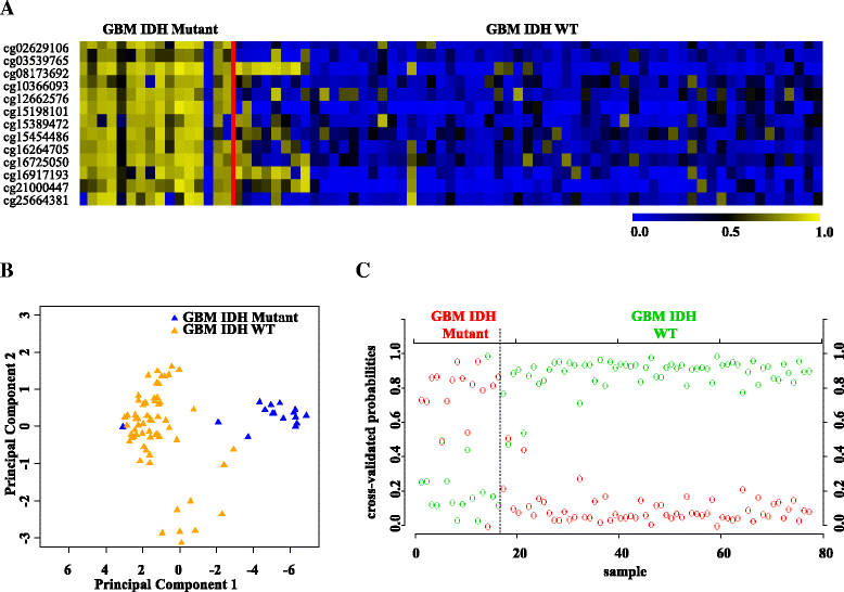 Fig. 8