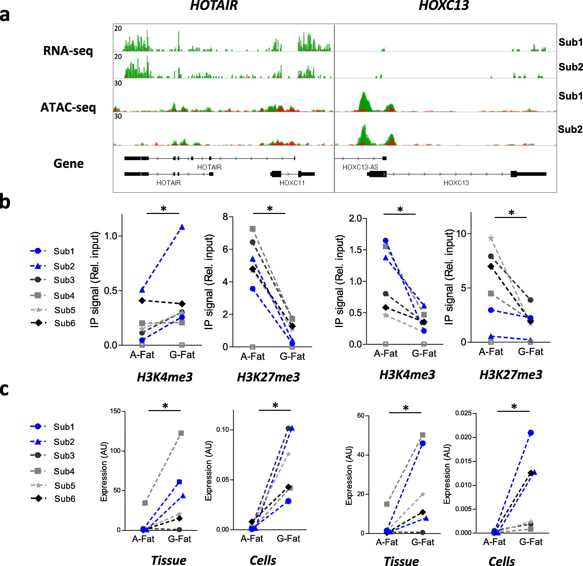 Fig. 6