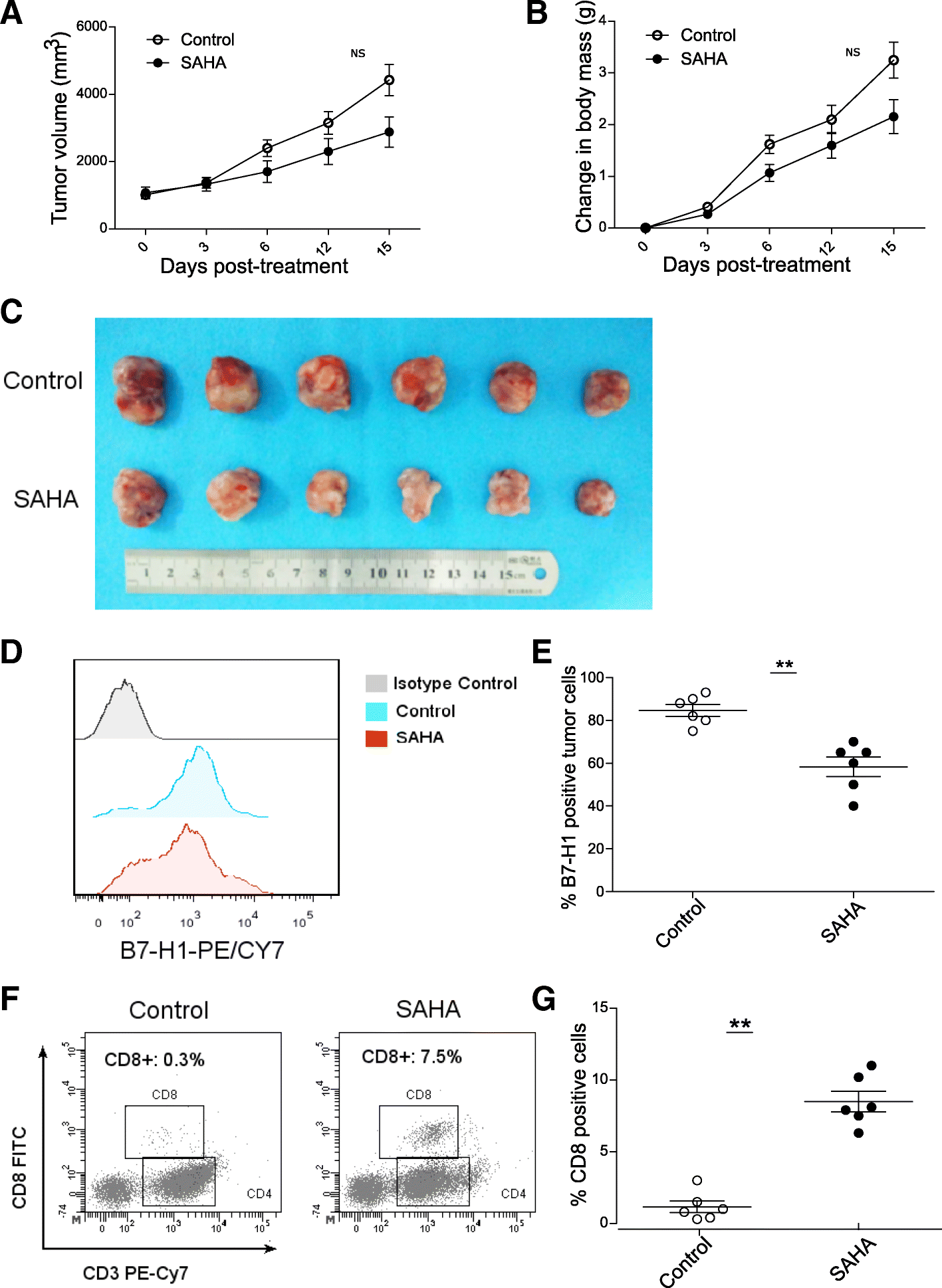 Fig. 8