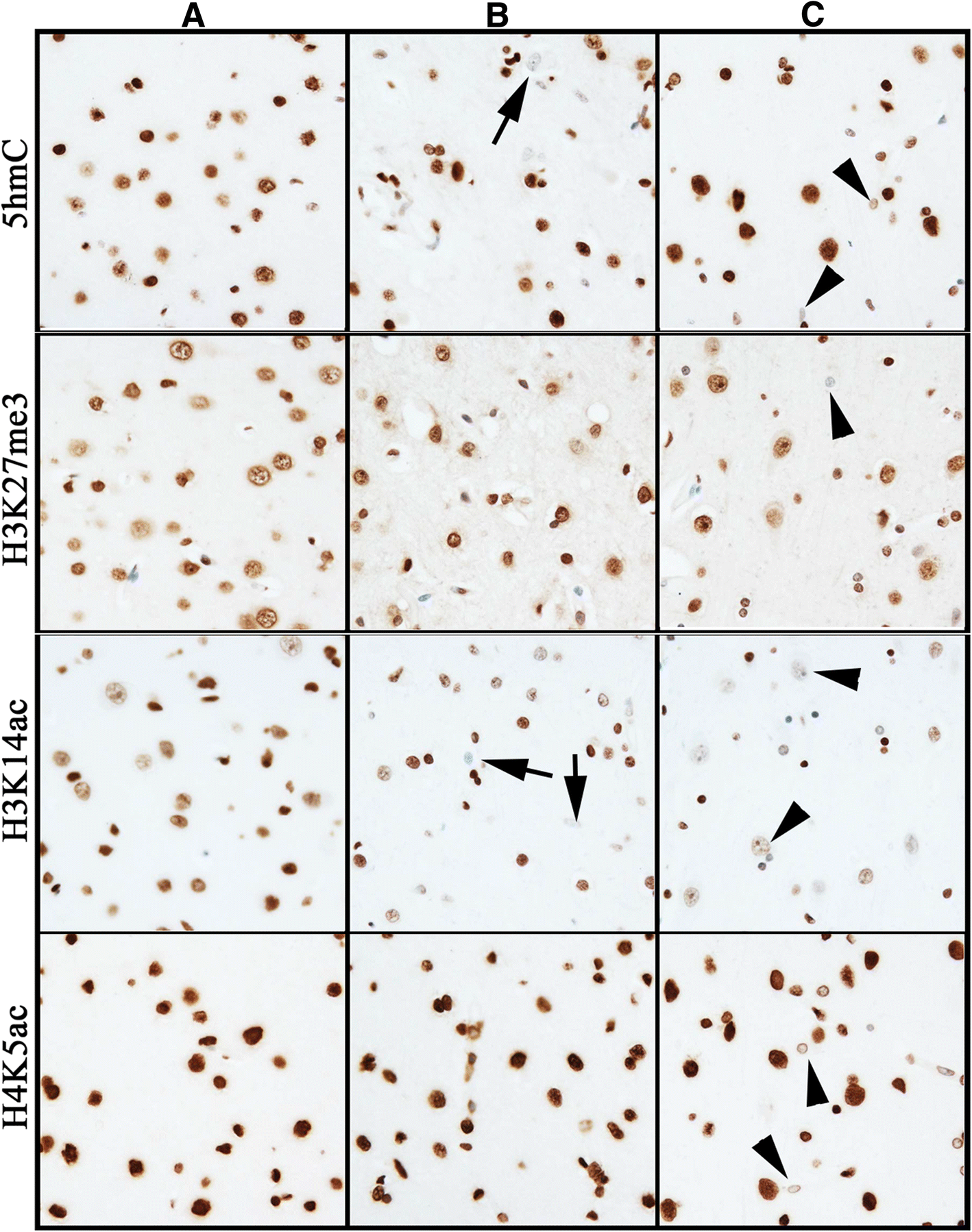 Fig. 10