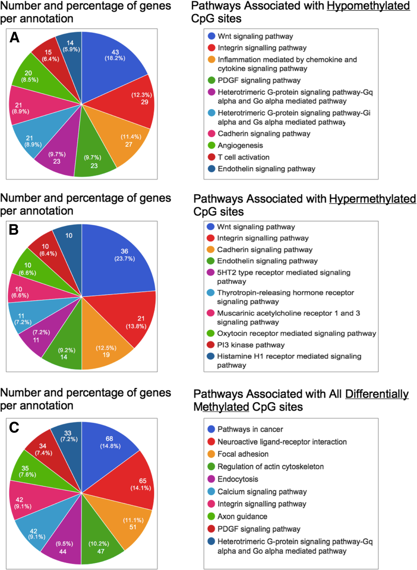 Gene Ontology Pie Chart