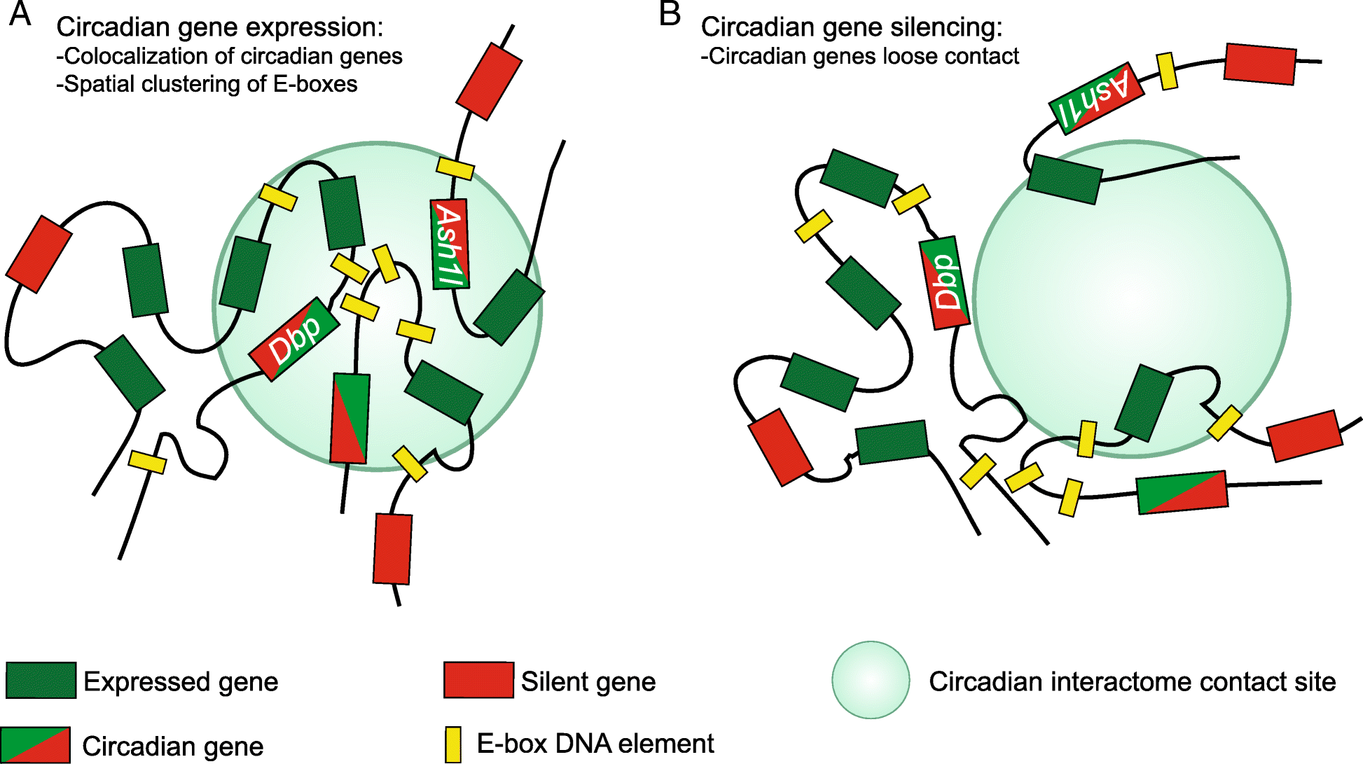 clinical epigenetics biomed central