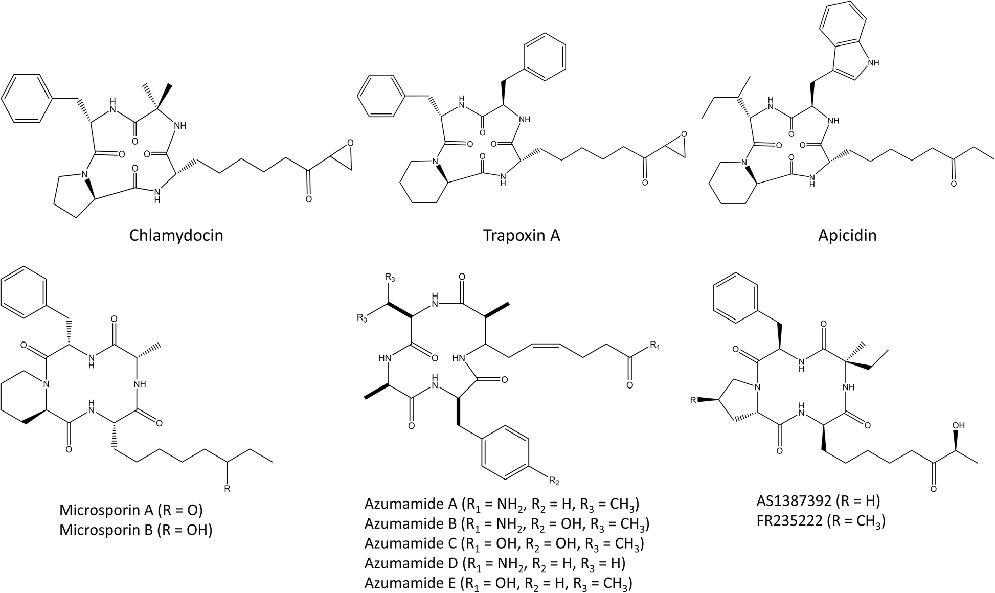 Fig. 3