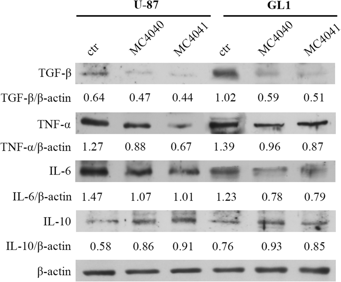 Fig. 10