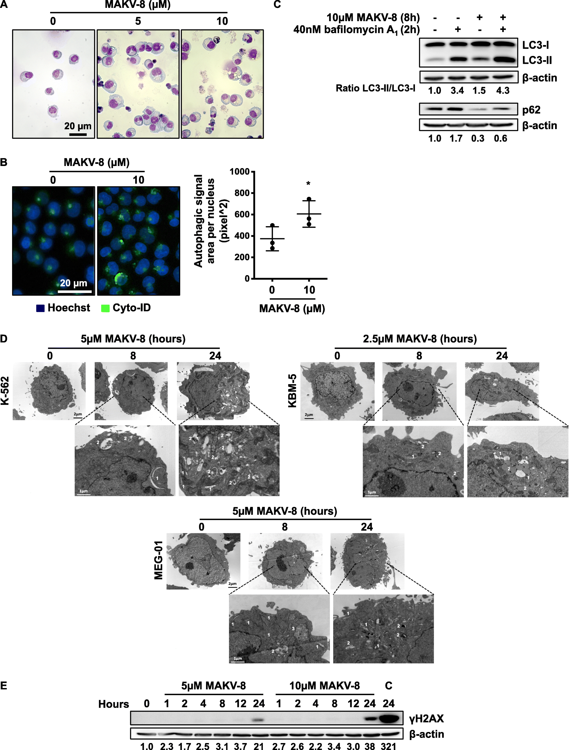 Fig. 7