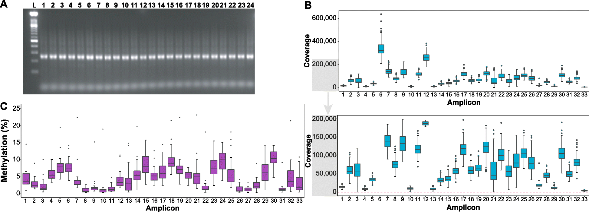 Fig. 7