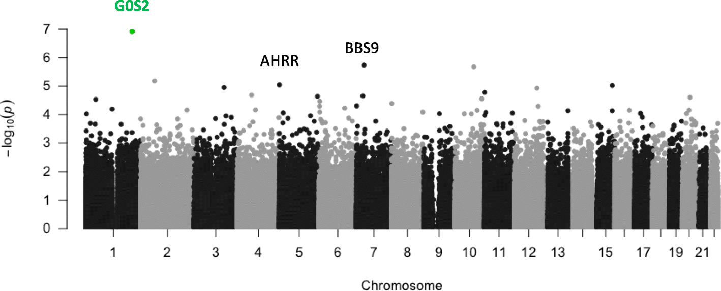 Fig. 1