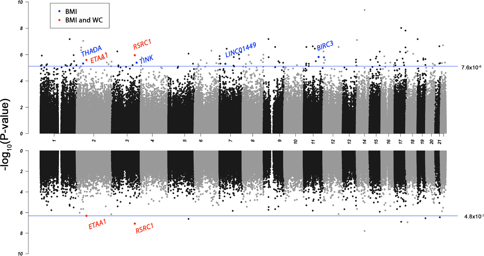 Fig. 2