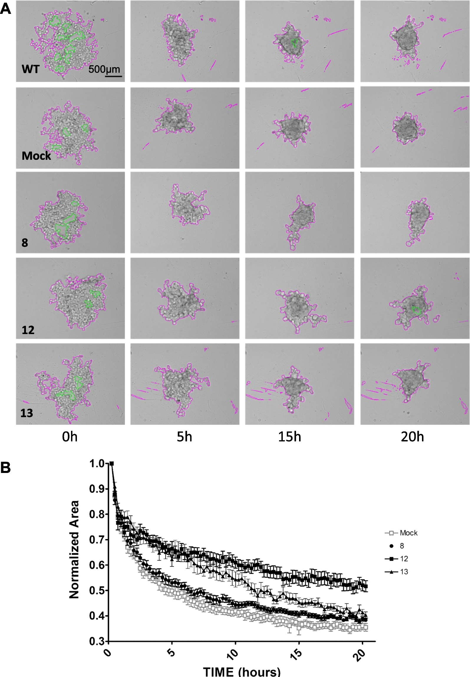 Fig. 3