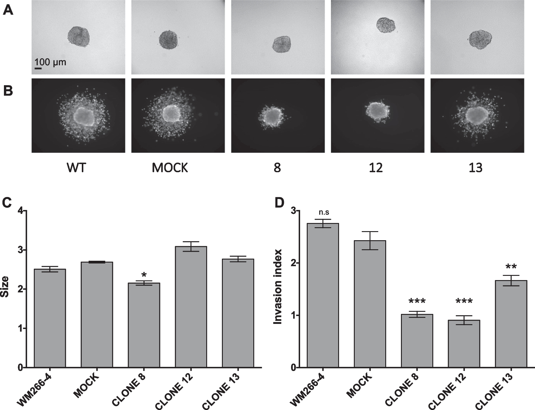 Fig. 4