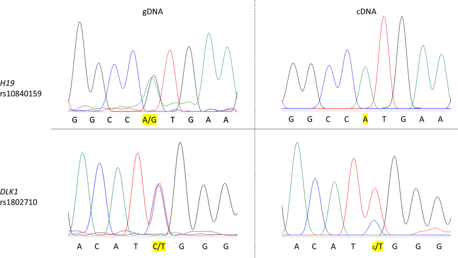 Fig. 7