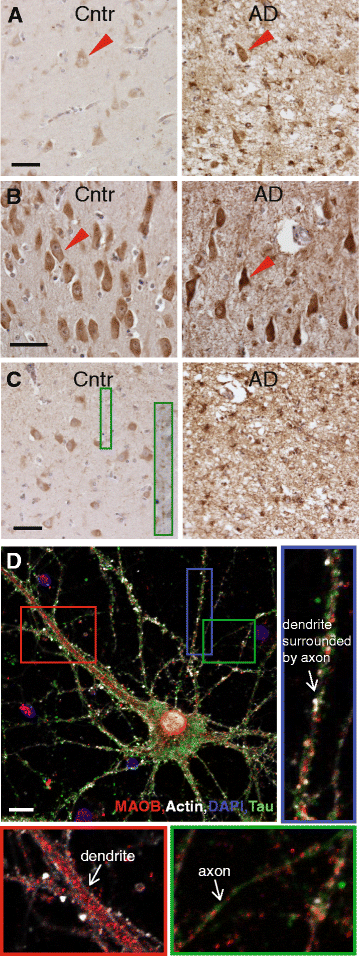 Fig. 2