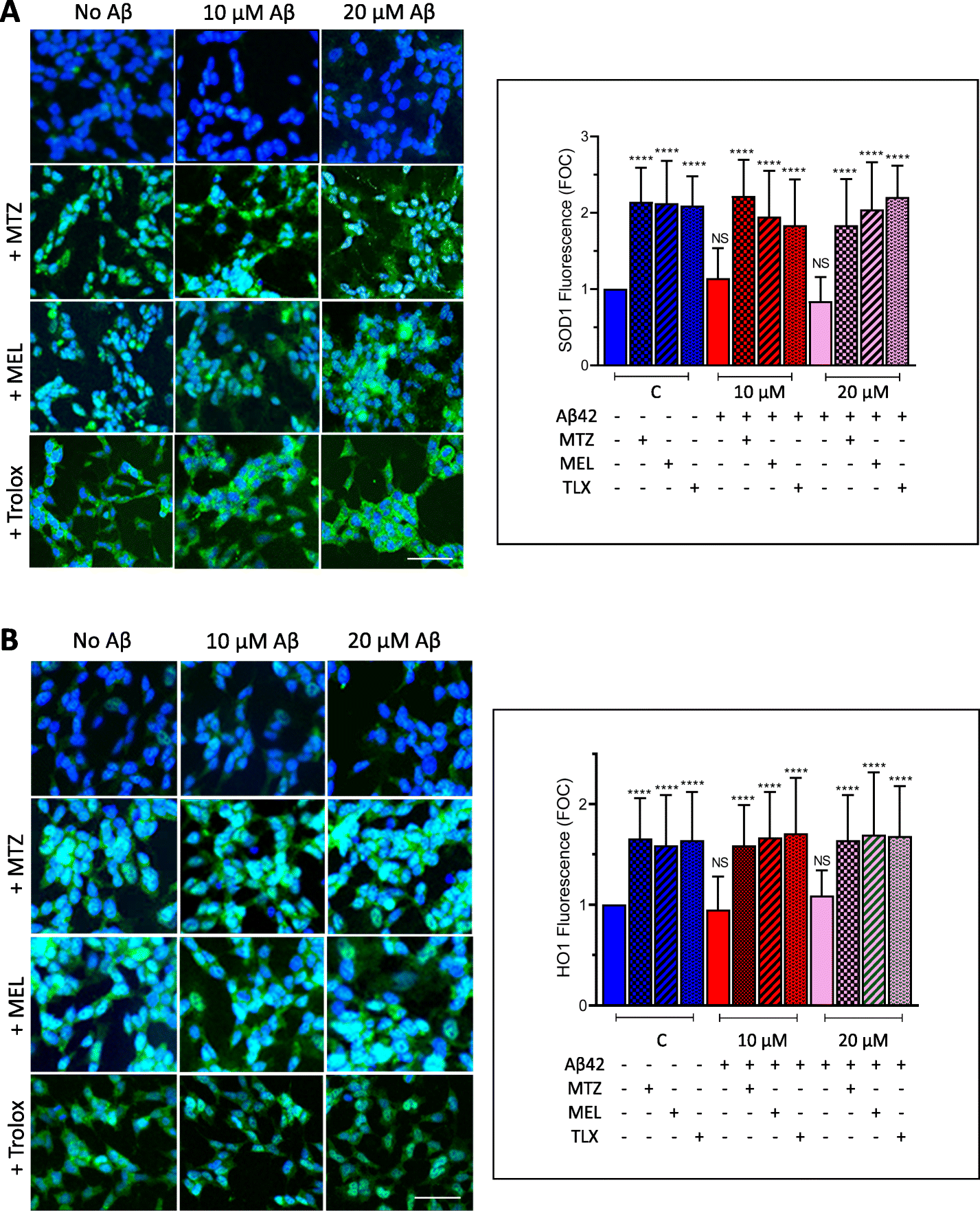 Fig. 9