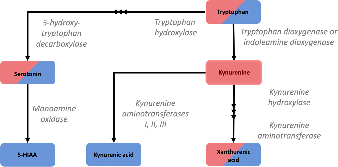 Fig. 9