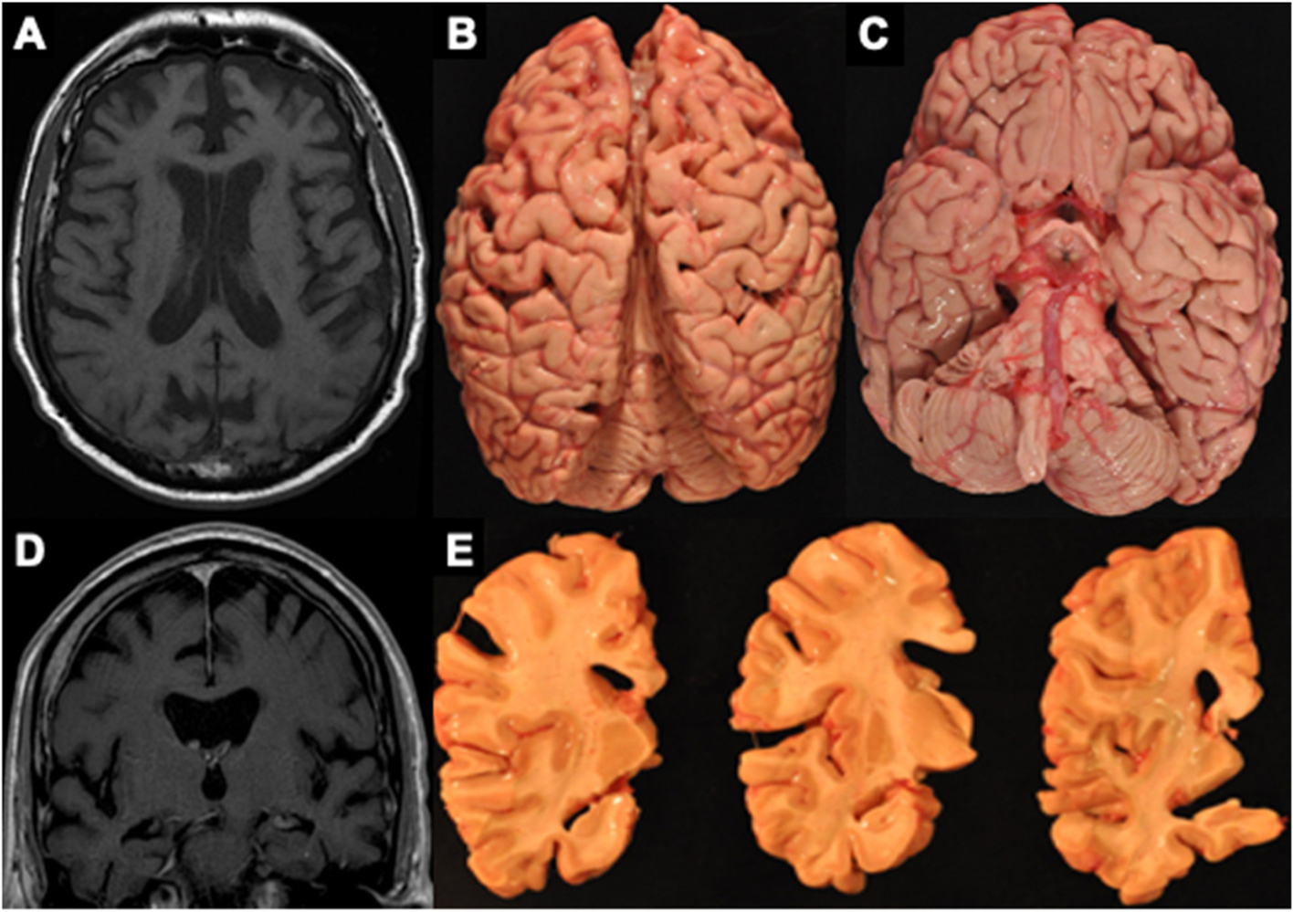 Fig. 4