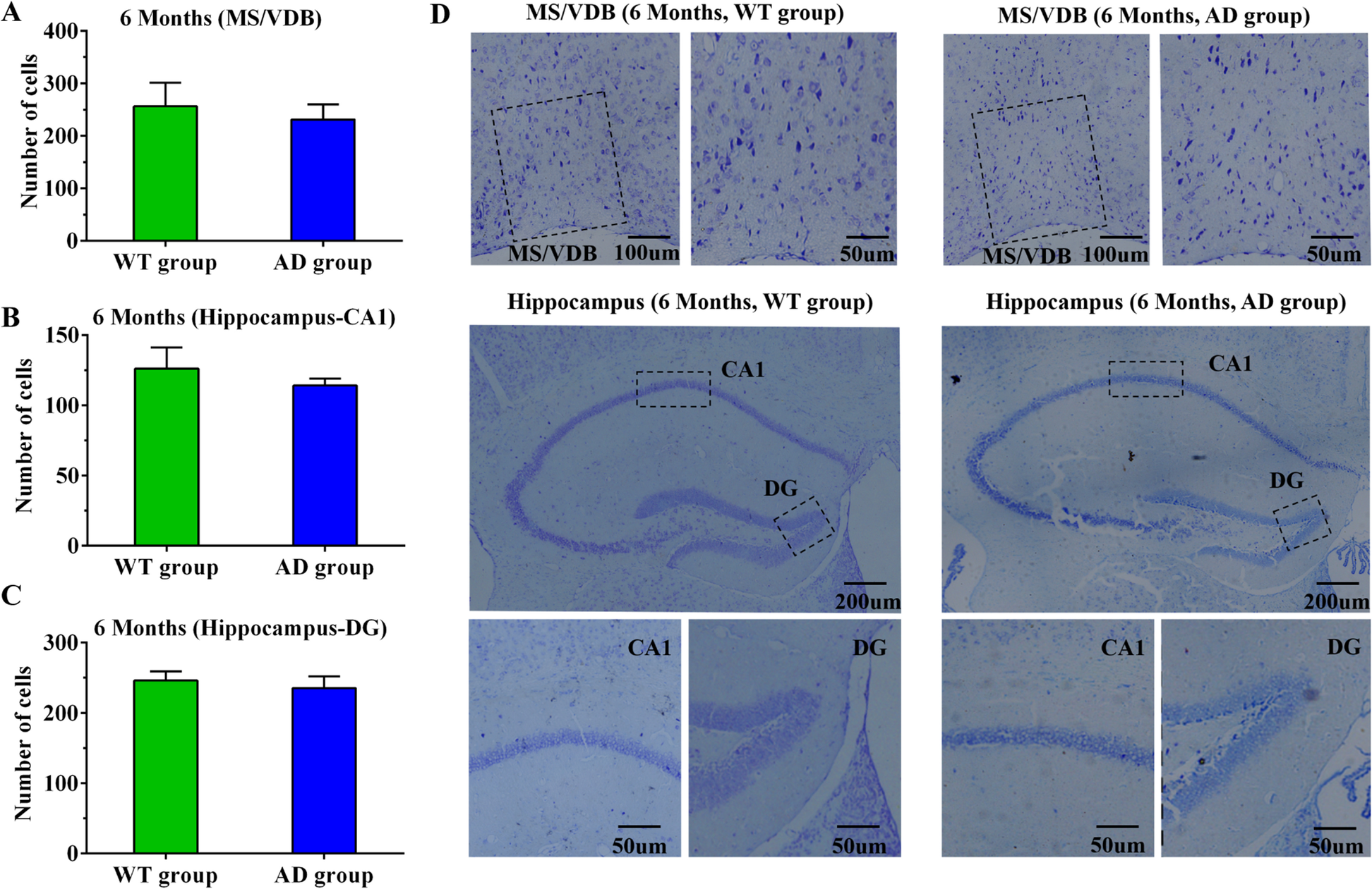 Fig. 7