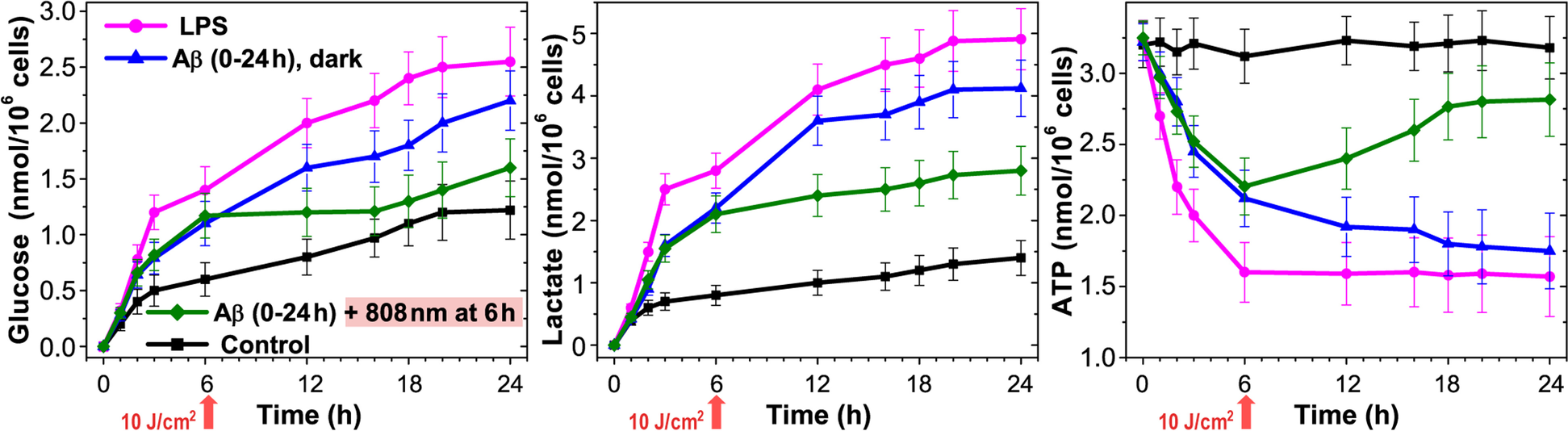 Fig. 4