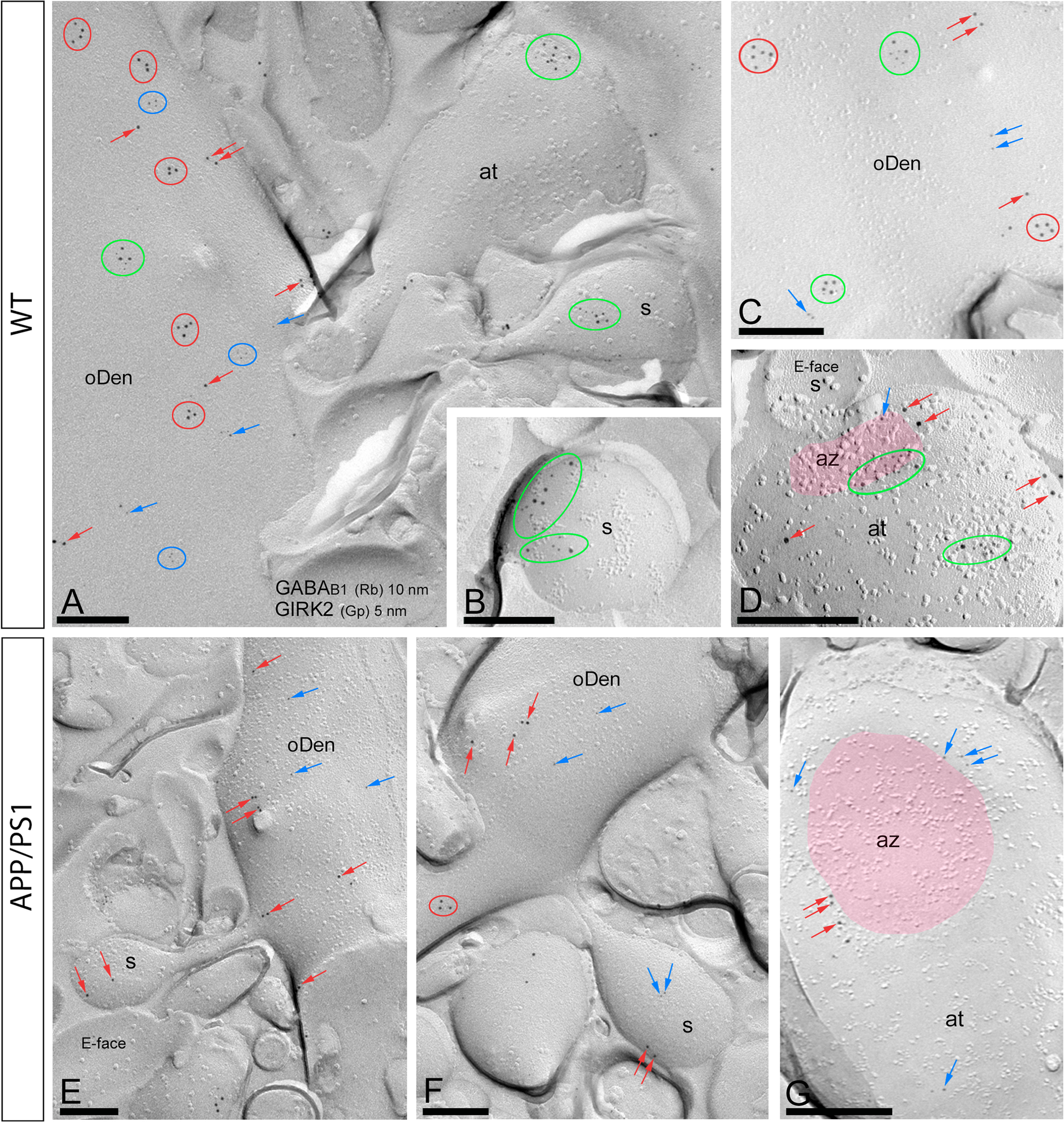 Fig. 6