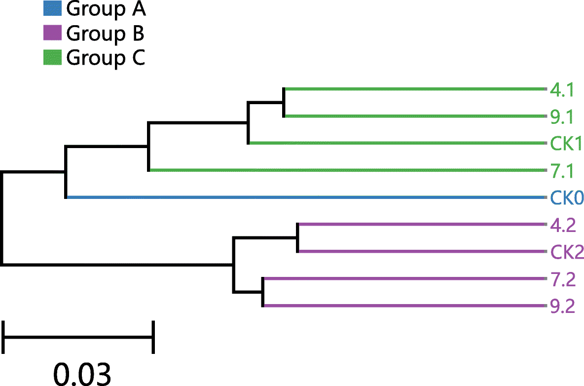 Fig. 8