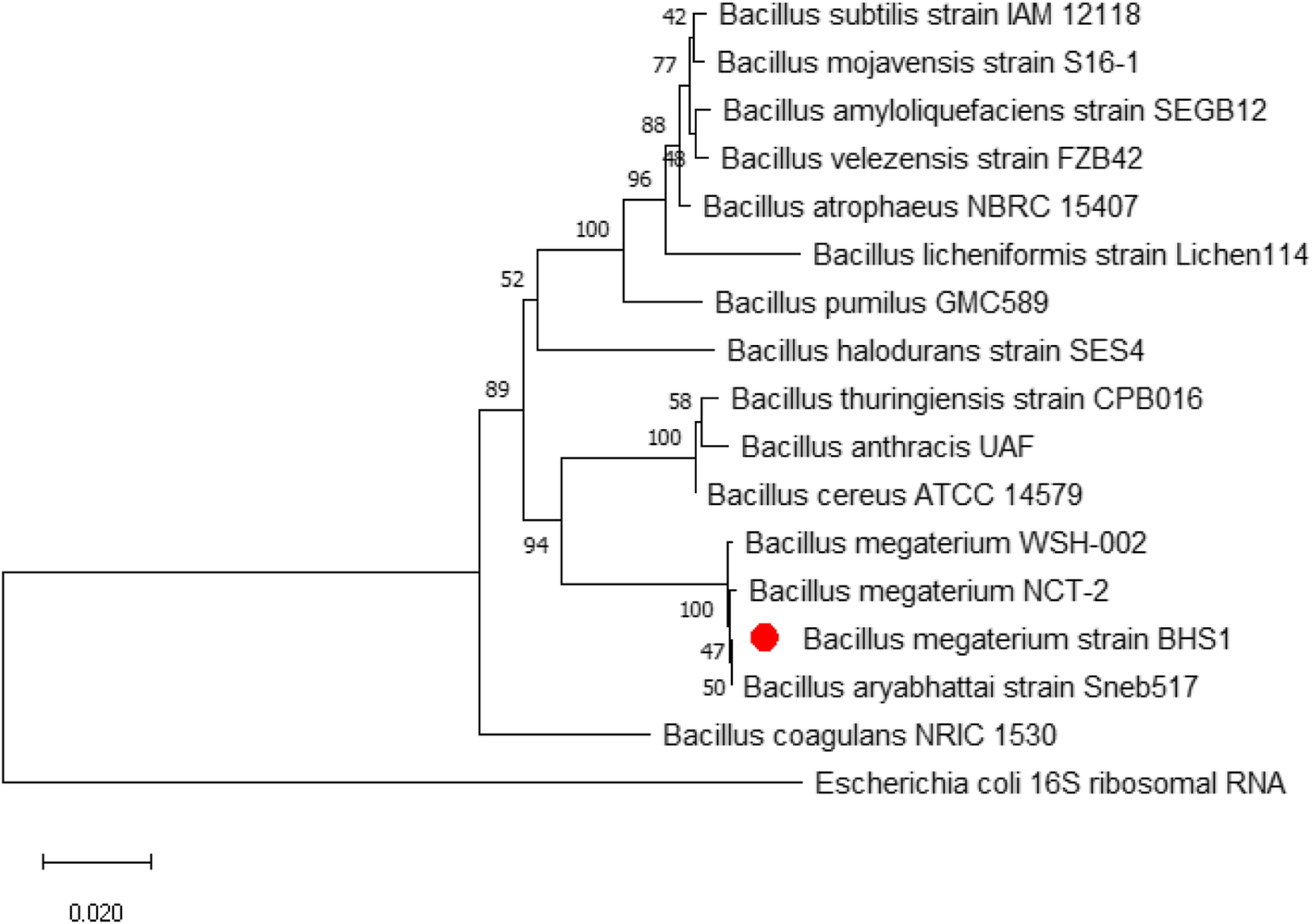 Fig. 1