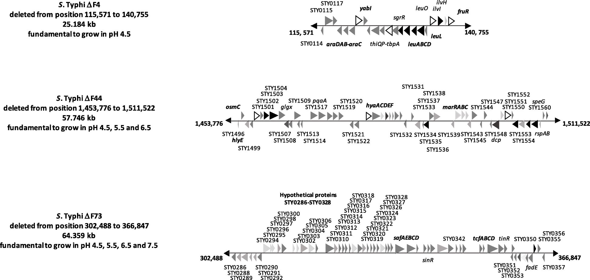 Fig. 5