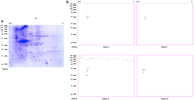 Fig. 3